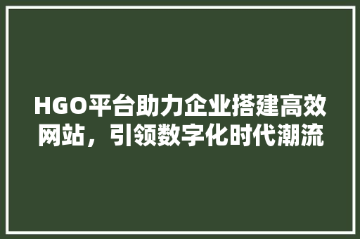 HGO平台助力企业搭建高效网站，引领数字化时代潮流 HGO平台助力企业搭建高效网站，引领数字化时代潮流 搜狗SEO