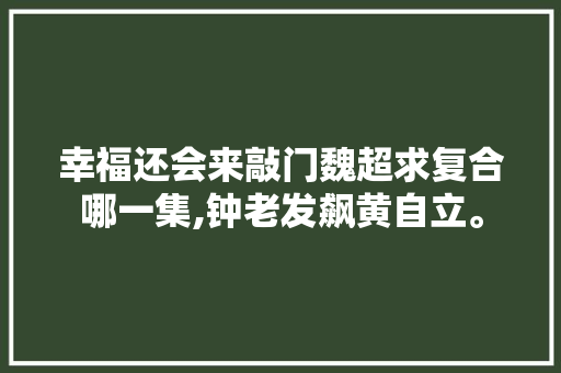 幸福还会来敲门魏超求复合哪一集,钟老发飙黄自立。 幸福还会来敲门魏超求复合哪一集,钟老发飙黄自立。 SEO关键词