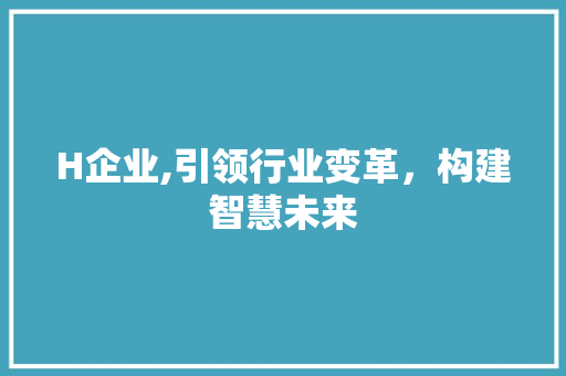 H企业,引领行业变革，构建智慧未来 H企业,引领行业变革，构建智慧未来 神马SEO