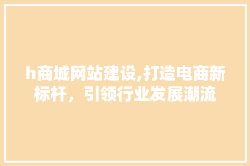 h商城网站建设,打造电商新标杆，引领行业发展潮流