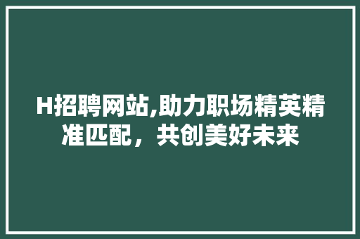 H招聘网站,助力职场精英精准匹配，共创美好未来