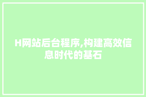 H网站后台程序,构建高效信息时代的基石 H网站后台程序,构建高效信息时代的基石 必应SEO