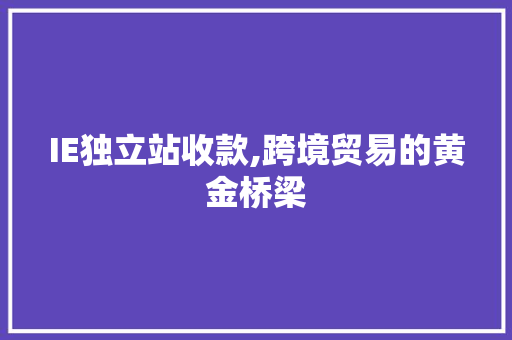 IE独立站收款,跨境贸易的黄金桥梁 IE独立站收款,跨境贸易的黄金桥梁 必应SEO
