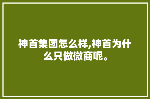 神首集团怎么样,神首为什么只做微商呢。 神首集团怎么样,神首为什么只做微商呢。 SEO关键词