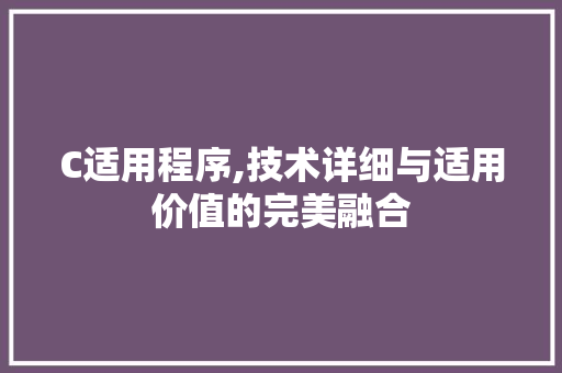 C适用程序,技术详细与适用价值的完美融合