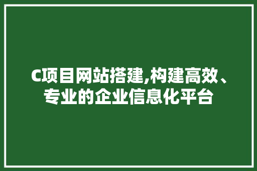 C项目网站搭建,构建高效、专业的企业信息化平台 C项目网站搭建,构建高效、专业的企业信息化平台 搜狗SEO