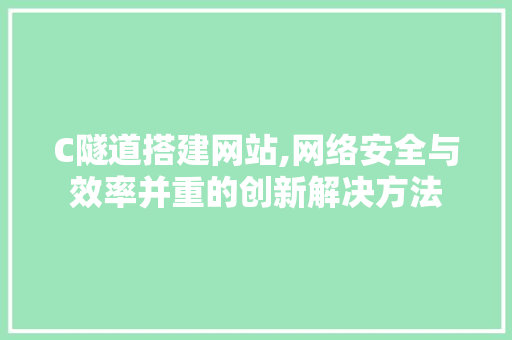 C隧道搭建网站,网络安全与效率并重的创新解决方法 C隧道搭建网站,网络安全与效率并重的创新解决方法 神马SEO
