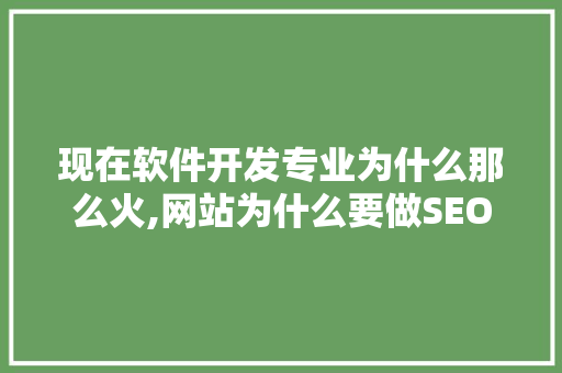 现在软件开发专业为什么那么火,网站为什么要做SEO。