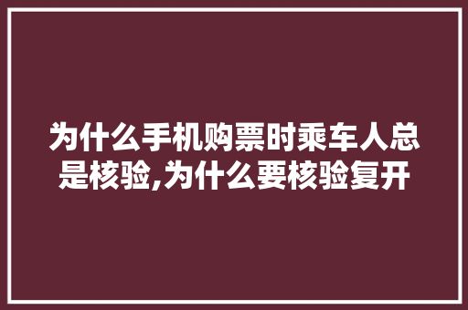 为什么手机购票时乘车人总是核验,为什么要核验复开。 为什么手机购票时乘车人总是核验,为什么要核验复开。 网站建设公司