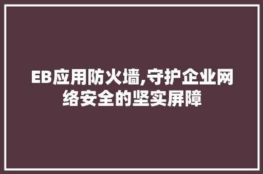 EB应用防火墙,守护企业网络安全的坚实屏障