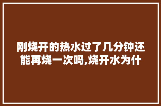 刚烧开的热水过了几分钟还能再烧一次吗,烧开水为什么不能再烧一次。 刚烧开的热水过了几分钟还能再烧一次吗,烧开水为什么不能再烧一次。 网站建设公司