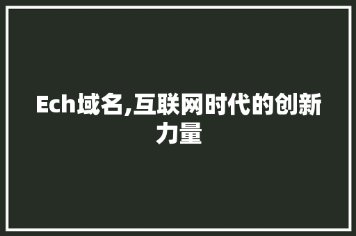 Ech域名,互联网时代的创新力量 Ech域名,互联网时代的创新力量 搜狗SEO