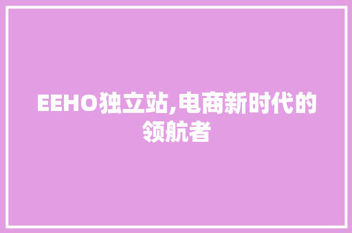 EEHO独立站,电商新时代的领航者 EEHO独立站,电商新时代的领航者 网站建设公司