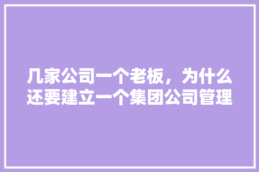 几家公司一个老板，为什么还要建立一个集团公司管理这几家子公司？税收是怎么算的？不需要交两份税么,为什么要建立公司制度。 几家公司一个老板，为什么还要建立一个集团公司管理这几家子公司？税收是怎么算的？不需要交两份税么,为什么要建立公司制度。 搜狗SEO
