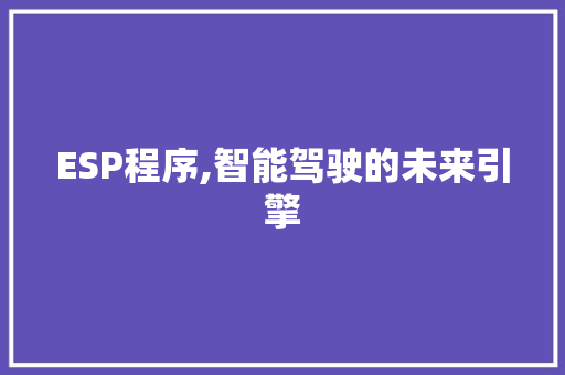 ESP程序,智能驾驶的未来引擎