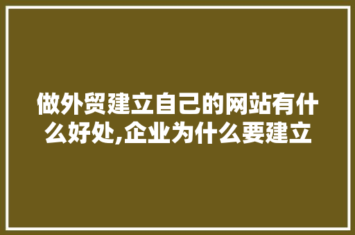 做外贸建立自己的网站有什么好处,企业为什么要建立网站呢。 做外贸建立自己的网站有什么好处,企业为什么要建立网站呢。 神马SEO
