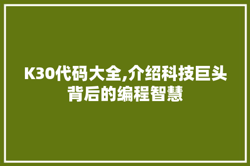 K30代码大全,介绍科技巨头背后的编程智慧