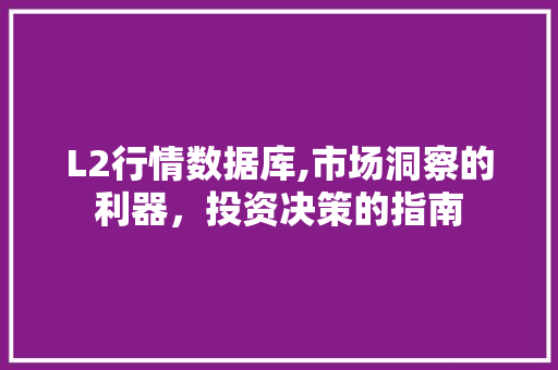 L2行情数据库,市场洞察的利器，投资决策的指南 L2行情数据库,市场洞察的利器，投资决策的指南 网站建设公司