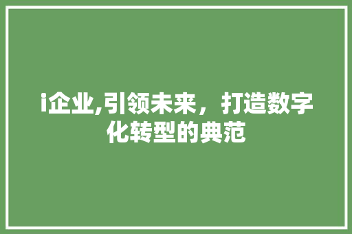 i企业,引领未来，打造数字化转型的典范 i企业,引领未来，打造数字化转型的典范 百度SEO