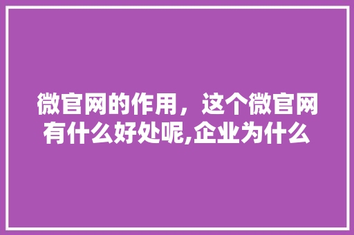 微官网的作用，这个微官网有什么好处呢,企业为什么要做官网。 微官网的作用，这个微官网有什么好处呢,企业为什么要做官网。 必应SEO