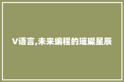 V语言,未来编程的璀璨星辰