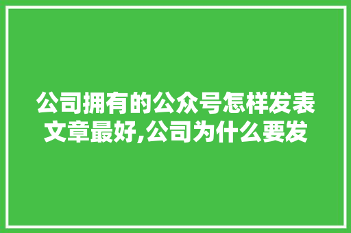 公司拥有的公众号怎样发表文章最好,公司为什么要发公众号呢。 公司拥有的公众号怎样发表文章最好,公司为什么要发公众号呢。 神马SEO