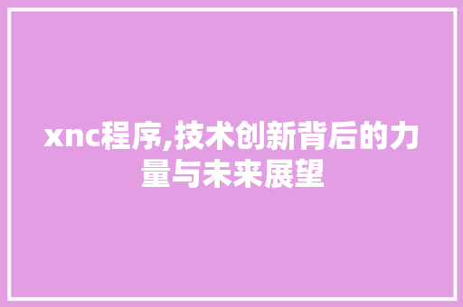 xnc程序,技术创新背后的力量与未来展望 xnc程序,技术创新背后的力量与未来展望 必应SEO