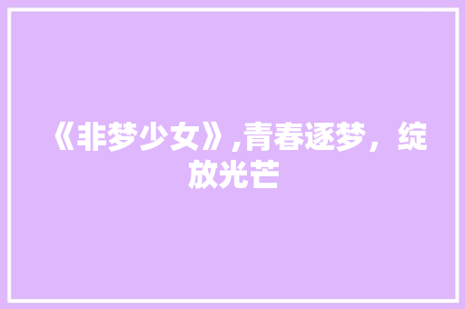 《非梦少女》,青春逐梦，绽放光芒 《非梦少女》,青春逐梦，绽放光芒 SEO关键词