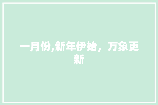 一月份,新年伊始，万象更新 一月份,新年伊始，万象更新 百度SEO
