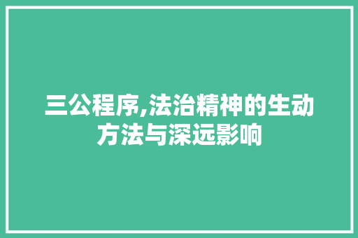 三公程序,法治精神的生动方法与深远影响 三公程序,法治精神的生动方法与深远影响 网站建设公司