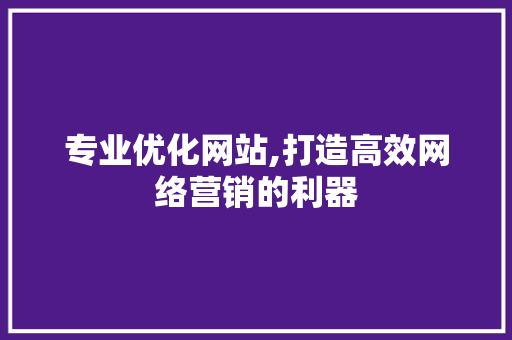 专业优化网站,打造高效网络营销的利器 专业优化网站,打造高效网络营销的利器 必应SEO
