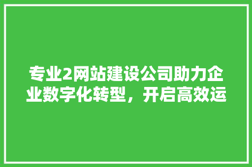 专业2网站建设公司助力企业数字化转型，开启高效运营新时代