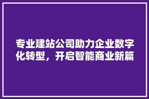 专业建站公司助力企业数字化转型，开启智能商业新篇章 专业建站公司助力企业数字化转型，开启智能商业新篇章 百度SEO