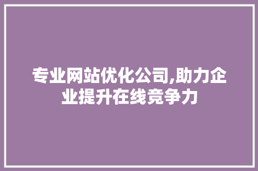专业网站优化公司,助力企业提升在线竞争力 专业网站优化公司,助力企业提升在线竞争力 百度SEO