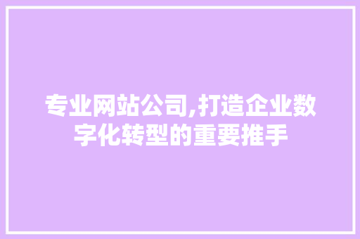 专业网站公司,打造企业数字化转型的重要推手 专业网站公司,打造企业数字化转型的重要推手 必应SEO
