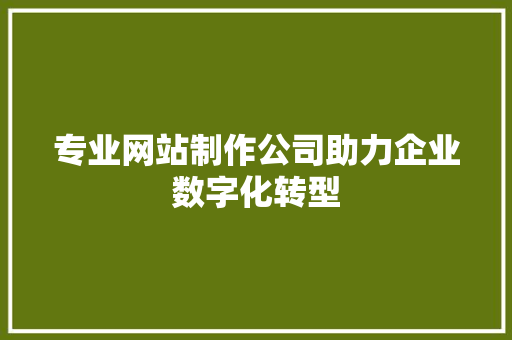 专业网站制作公司助力企业数字化转型 专业网站制作公司助力企业数字化转型 必应SEO