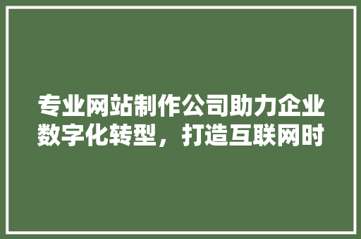 专业网站制作公司助力企业数字化转型，打造互联网时代核心竞争力 专业网站制作公司助力企业数字化转型，打造互联网时代核心竞争力 必应SEO