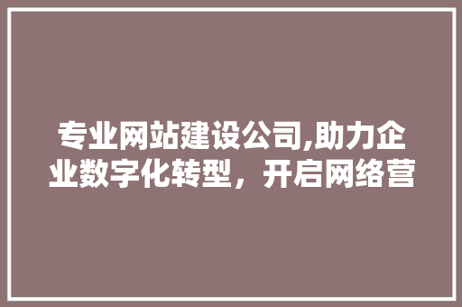 专业网站建设公司,助力企业数字化转型，开启网络营销新篇章 专业网站建设公司,助力企业数字化转型，开启网络营销新篇章 百度SEO