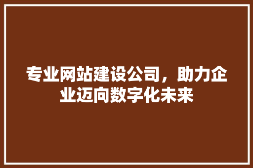 专业网站建设公司，助力企业迈向数字化未来 专业网站建设公司，助力企业迈向数字化未来 网站建设公司