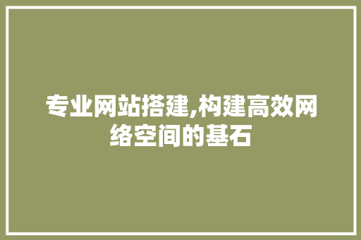 专业网站搭建,构建高效网络空间的基石 专业网站搭建,构建高效网络空间的基石 SEO关键词