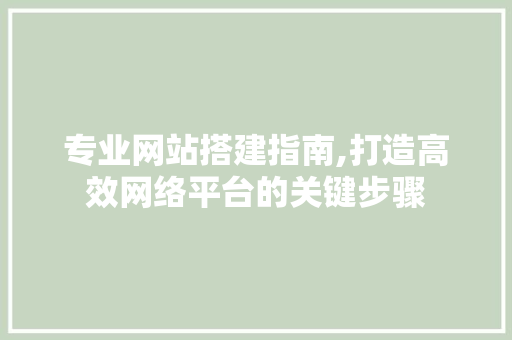 专业网站搭建指南,打造高效网络平台的关键步骤 专业网站搭建指南,打造高效网络平台的关键步骤 搜狗SEO
