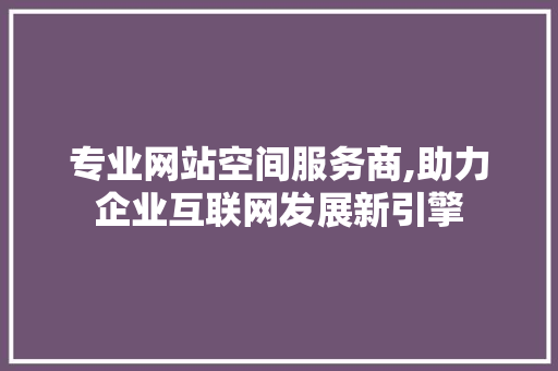 专业网站空间服务商,助力企业互联网发展新引擎 专业网站空间服务商,助力企业互联网发展新引擎 网站建设公司