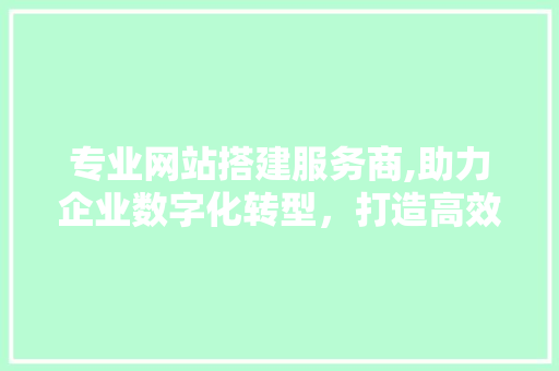 专业网站搭建服务商,助力企业数字化转型，打造高效网络平台 专业网站搭建服务商,助力企业数字化转型，打造高效网络平台 必应SEO