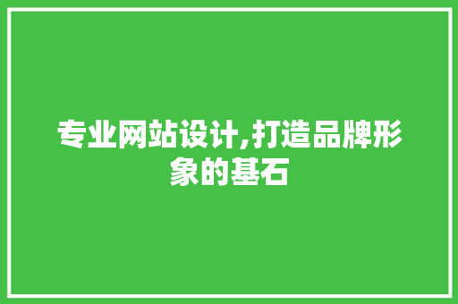 专业网站设计,打造品牌形象的基石 专业网站设计,打造品牌形象的基石 百度SEO