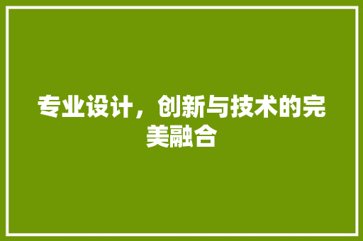 专业设计，创新与技术的完美融合 专业设计，创新与技术的完美融合 网站建设公司