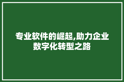 专业软件的崛起,助力企业数字化转型之路