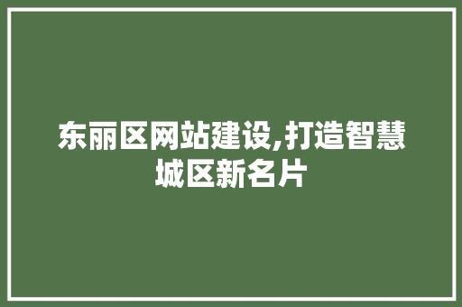东丽区网站建设,打造智慧城区新名片 东丽区网站建设,打造智慧城区新名片 SEO关键词