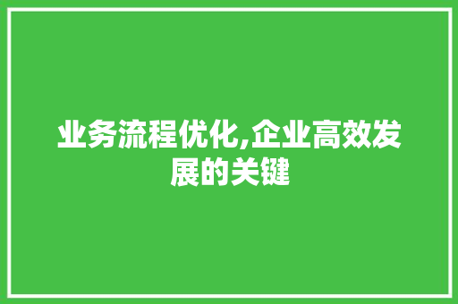 业务流程优化,企业高效发展的关键 业务流程优化,企业高效发展的关键 必应SEO