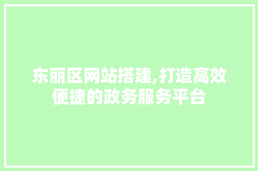 东丽区网站搭建,打造高效便捷的政务服务平台 东丽区网站搭建,打造高效便捷的政务服务平台 神马SEO