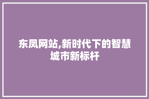 东凤网站,新时代下的智慧城市新标杆 东凤网站,新时代下的智慧城市新标杆 SEO关键词